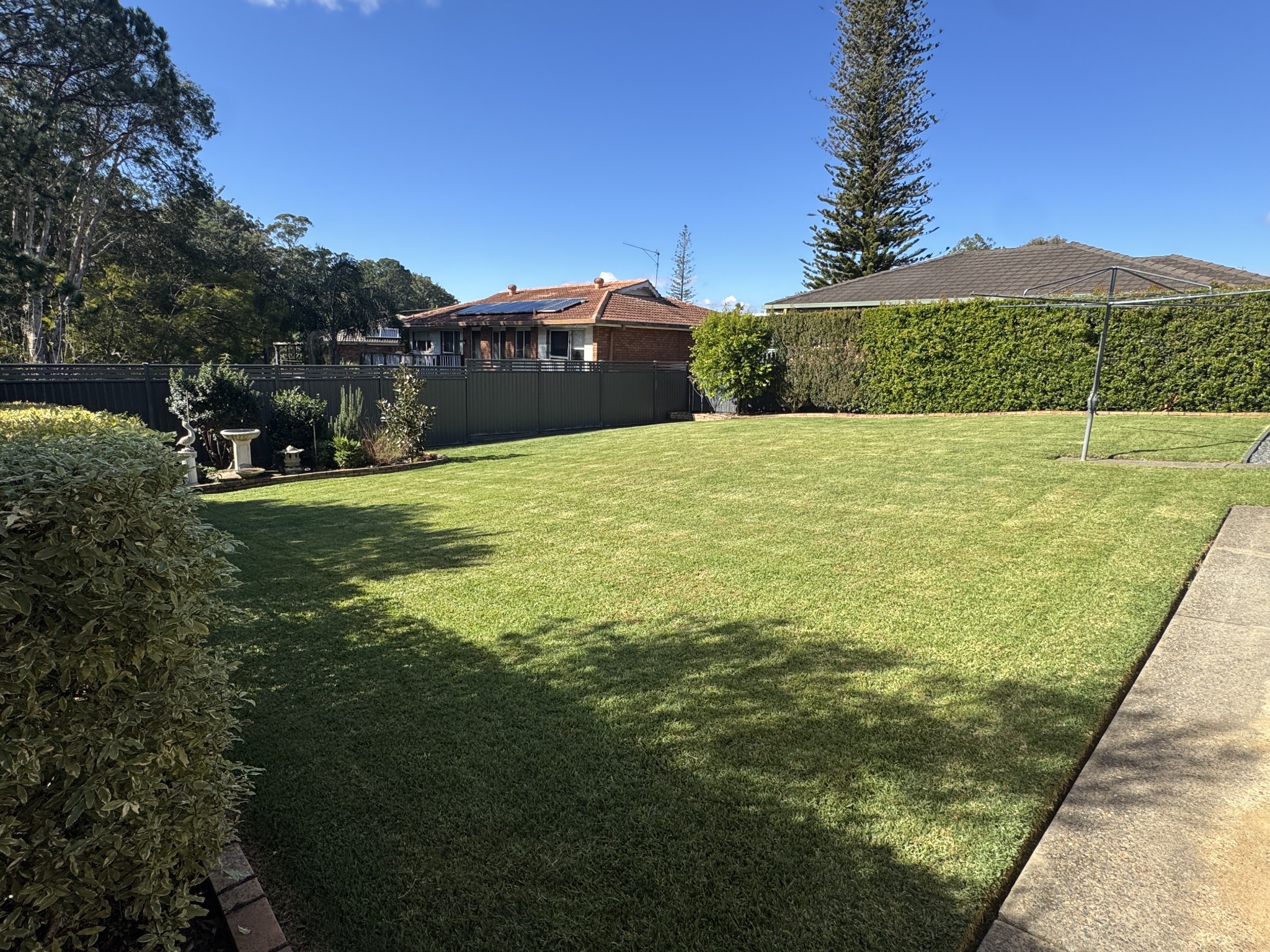 Hedge trimming and garden maintenance by PWB Services