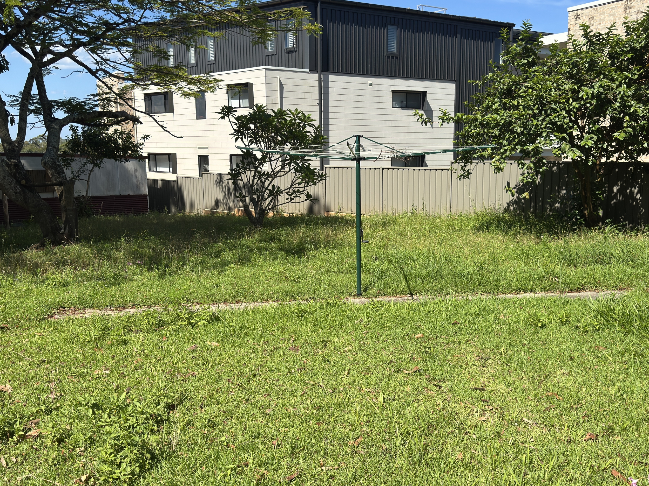 Lawn before rejuvenation and mowing in Toormina