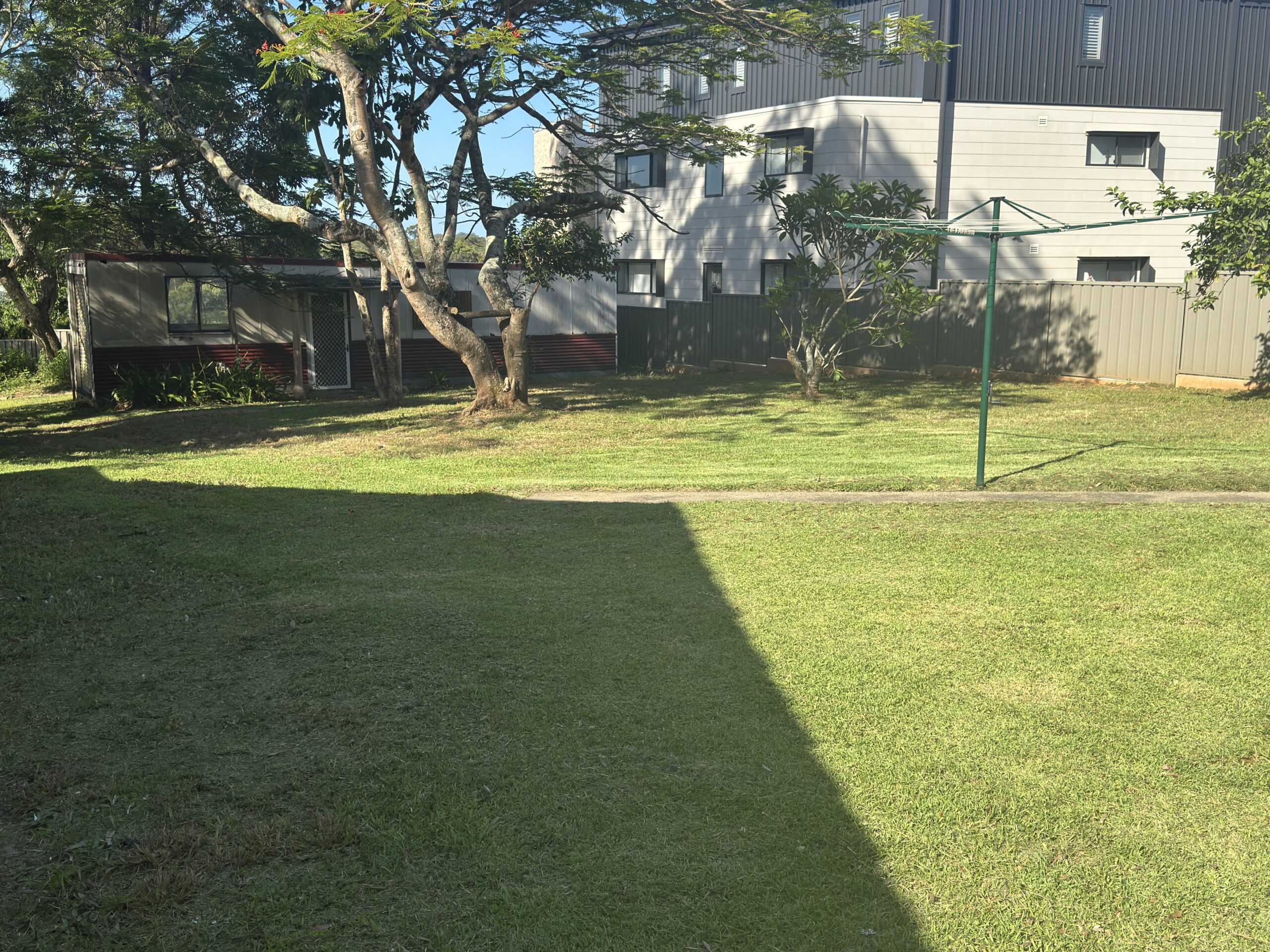 Finished lawn after rejuvenation and mowing in Toormina