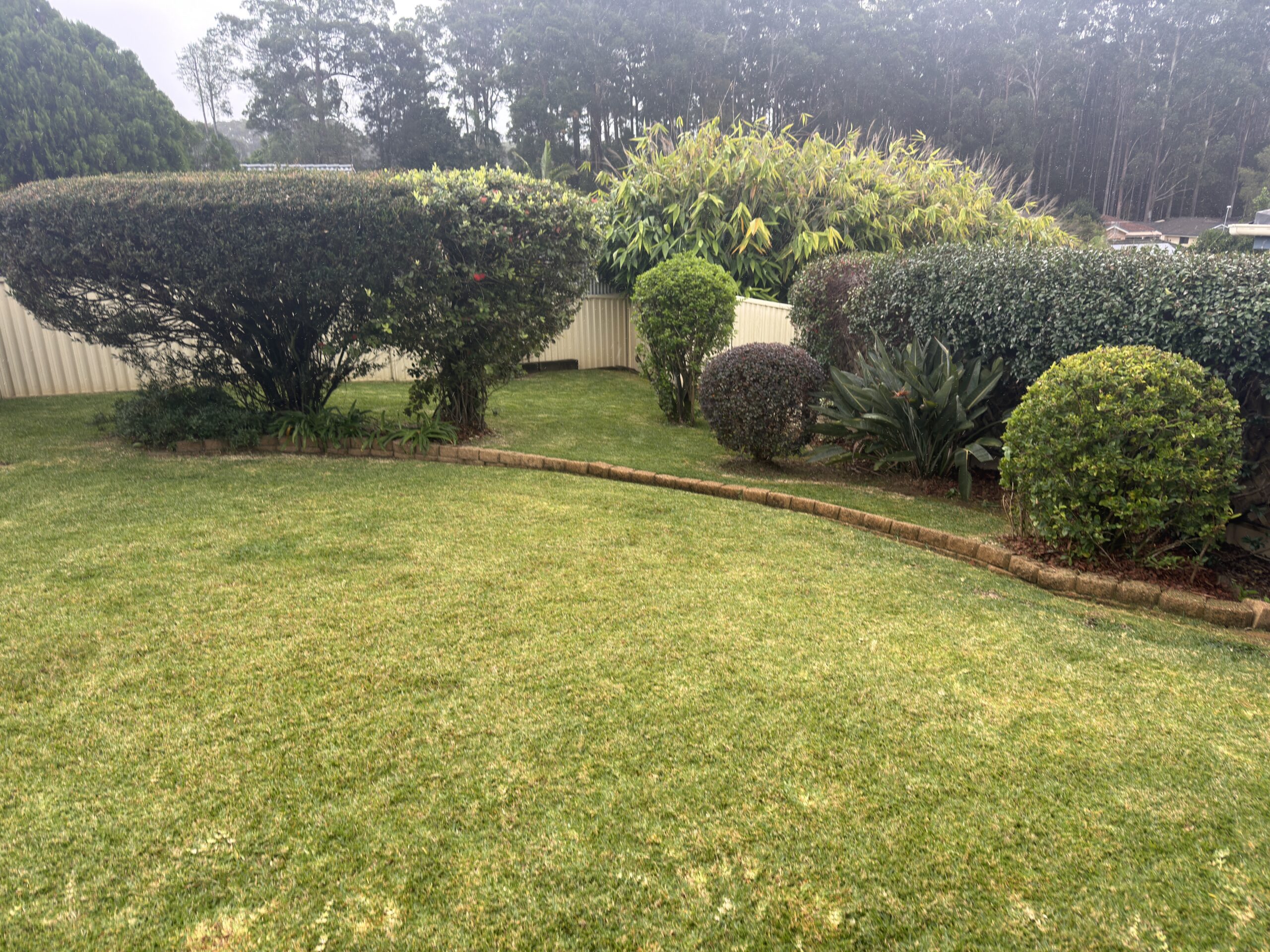 Professional hedge trimming completed in Toormina