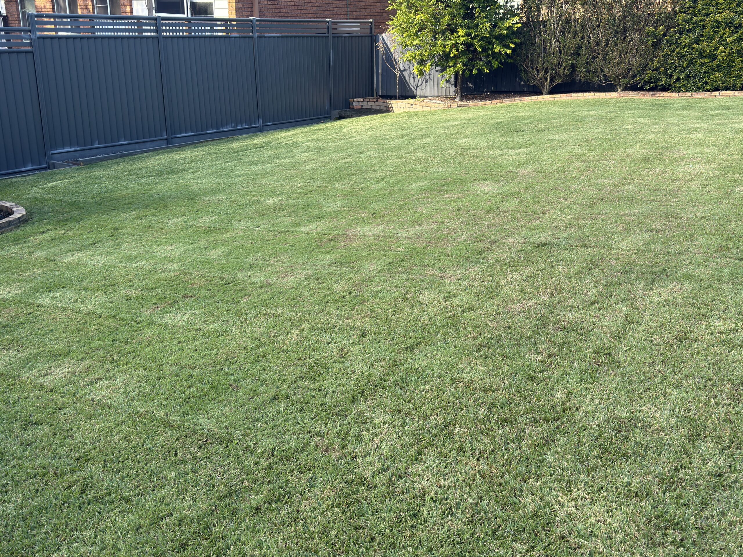 Professional lawn mowing completed by PWB Services