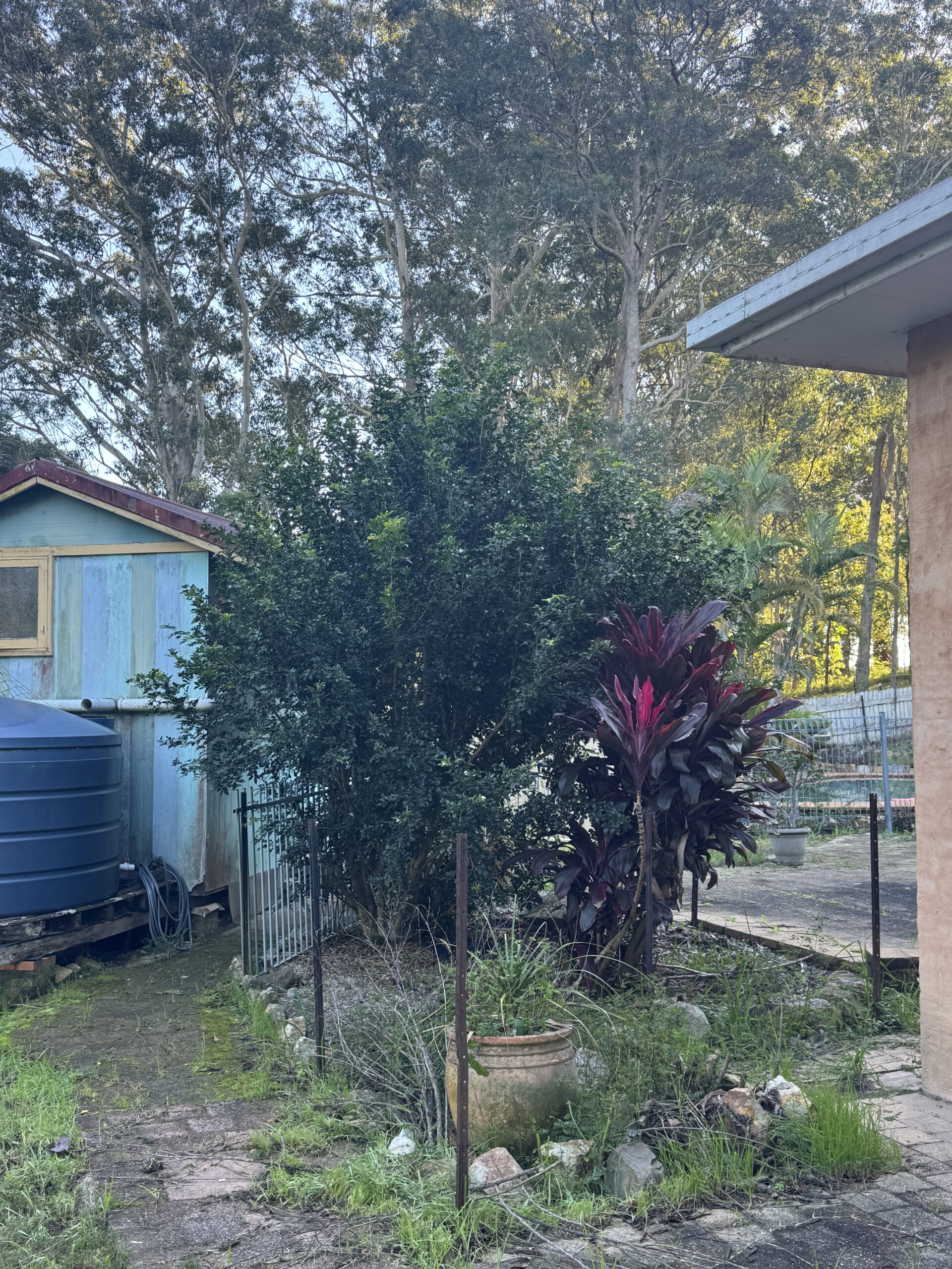 Valla property before garden maintenance